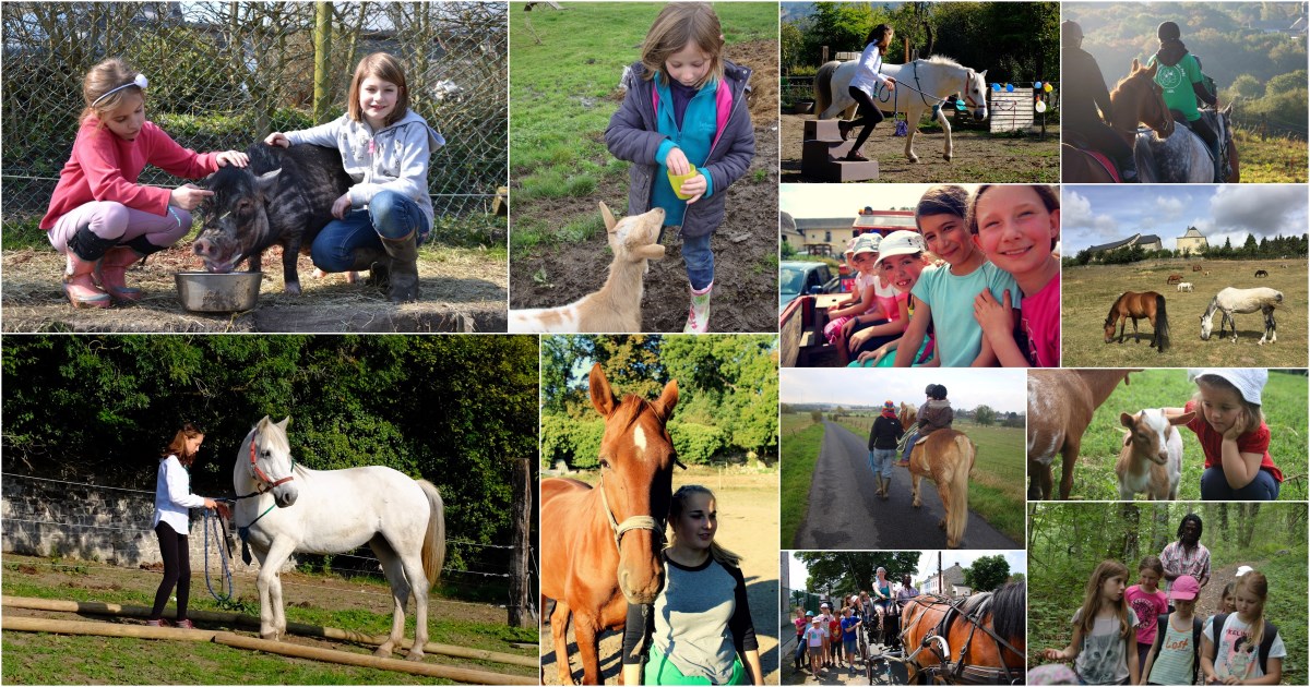 Stages Vie Ferme et Cheval aux Compagnons des Prés